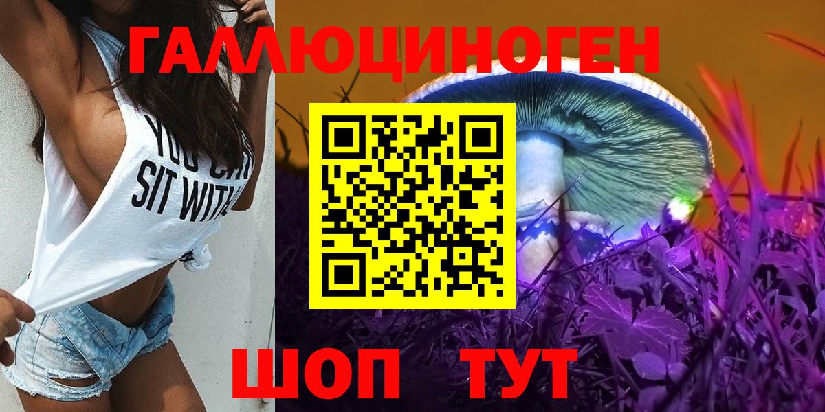 Волгоград  Псилоцибиновые грибы Psilocybine cubensis  Вход с VPN 